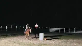 Friday night therapy in Texas #horseriding #horses 