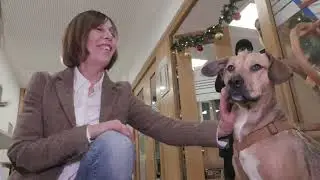 Reportage von M&uuml;nchen TV &uuml;ber unsere Weihnachtsaktion