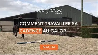 Equisense Riders - Comment travailler sa cadence au galop - Partie 2