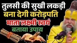 तुलसी की सूखी लकड़ी बना देगी करोड़पति | यह उपाय भूलकर भी न करें नजरअंदाज | प्रेमानंद महाराज
