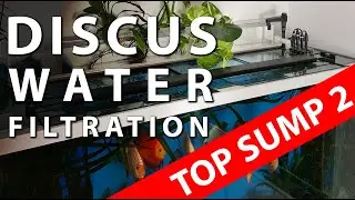 Discus Fish Tank Filtration, top sump reinstall and adding plants