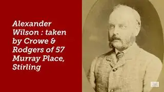 Alexander Wilson
