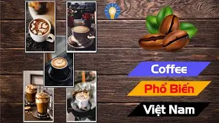 KIẾN THỨC VUI | Ở Việt Nam có những loại Cà Phê nào? Bạn có phải người sành về Cà Phê không?