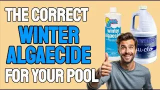 Winter Algaecide: What Type and How to Use it?