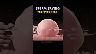 Sperm Trying to fertilize to Egg