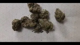 THCA SMALL BUDS..OOG HONEST TO REVIEW THCA #THCAREVIEW 