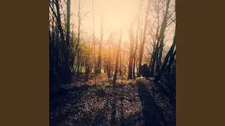 Boundless realm