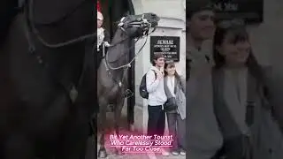 &ldquo;Shocking Moment: Tourist Gets Nipped by Royal Horse 👑🐎