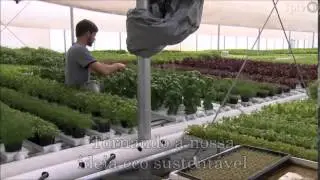 ALLFRESH