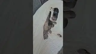 Очень красивая древесина. Новые проекты. ##столярноедело