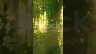 dangerous jungle amazing scene