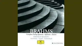 Brahms: Clarinet Trio in A Minor, Op. 114: IV. Finale. Allegro
