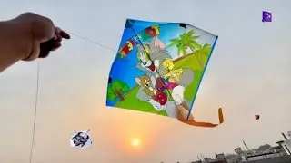 Caught kites 😱 | Kite looting new video | Kite catching | Kite