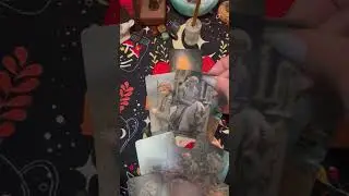 🥰😎Его интимная жизнь сейчас ? Что там ? 😌👩‍🦱