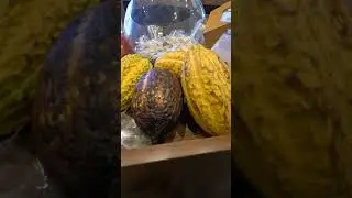 Munnar Chocolate Factory | Munnar Famous Chocolate | Kerala Munnar Chocolate Factory🍬🍫🍬🍫🍭