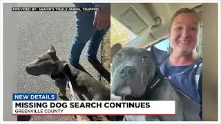 Search for missing dog continues following deadly crash along I-85