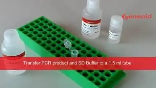 Small DNA Fragments Extraction Kit