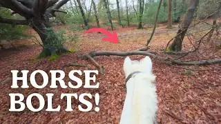 HORSE GALLOPED AWAY WITH ME!! GoPro POV Ride with Me - This Esme
