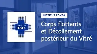 Corps flottants et D&eacute;collement post&eacute;rieur du Vitr&eacute;
