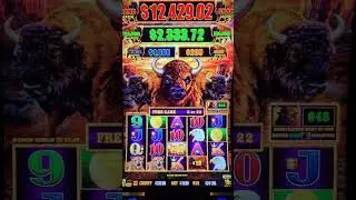 AMAZING WIN on Buffalo Link during the free games feature! #shorts #buffalolink #slot