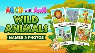 Learn Wild Animals Names in Hindi and English | ABCD with Aniii