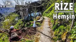 Köyde Huzurlu Yürüyüş | Peaceful 4K Walk in the Village