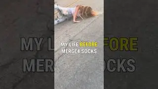 #sockaddict #actionsports #skateboarding #durablegoods #comfortablefashion #qualitygoods #glowup