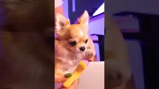 Soap-Making Magic: Create Your Own Spa Bars! 🛁✨ #Shorts