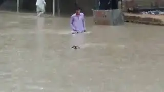 Dog swimming in pakistan street