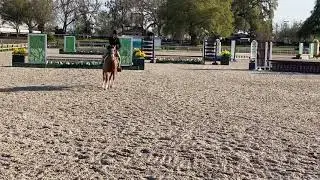 Bianca May and Cutler Beckett 2020 Virtual Pony Finals Entry