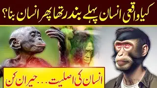 Theory of Evaluation ? Were Humans Really Monkeys? || SF Truth