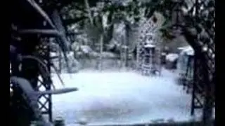 snowfall in Nikaia, Greece 17-02-2008 (my garden)