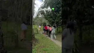 New Version 💚 #music #funkids #philippines #dance #familyfun #home