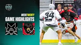 Full Game Highlights | Las Vegas Desert Dogs vs Ottawa Black Bears