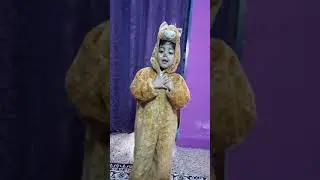 Cat fancy dress competition