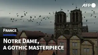 Notre Dame, a gothic masterpiece | AFP