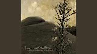 Meditation (Psalm 19:14)