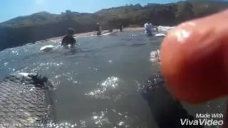 Surf Asturias 21-22 junio 2016