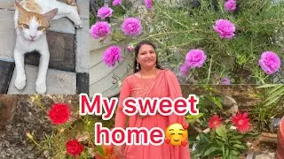 My sweet home#garden