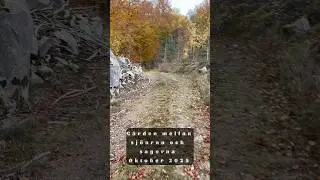G&aring;rden mellan sj&ouml;arna och sagorna (tredje bes&ouml;ket) - oktober 2025 #blekinge #ronneby #genomnatten