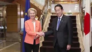 Dimite primer ministro de Jap&oacute;n