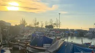 MAVİŞEHİR BALIK MEZATI CANLI YAYIN. 15 OCAK PERŞEMBE.
