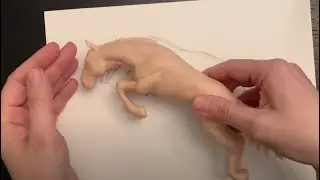 Sculpting an animal
