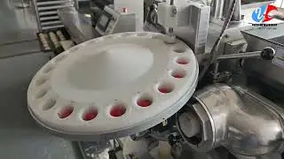 Knedle Encrusting Machine
