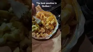 The BEST poutine in Quebec, Canada ! The most cheese ever and tangy sauce! #poutine #canada #yummy