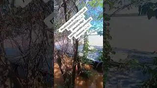 atualiza&ccedil;&atilde;o do velho Chico 09/01/26 uhuuuuuu 🎣🎣