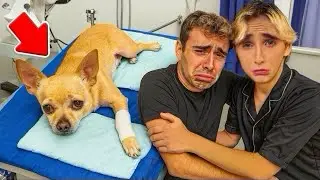 OUR DOG BROKE HIS LEG&hellip;😭 *SAD*