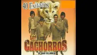 Florecillo De Amor - Los Cachorros de Juan Villareal
