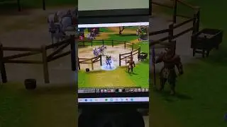 Metin2 Bug