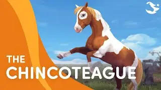 The Chincoteague Pony 🙌🤩  | Star Stable Breeds